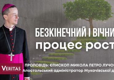 Безкінечний і вічний процес росту. Проповідь: єпископ Микола Петро Лучок ОР