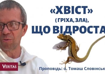 «Хвіст» гріха, зла, що відростає.  Заповнити порожнечу дорогою до спасіння. Проповідь: о. Томаш Словінскі ОР