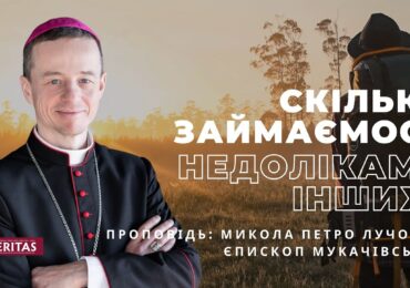 Чому бачиш скалку в чужому оці?