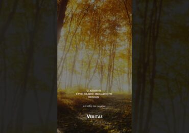 Чому так? Чому війна, чому хвороба? Чому, чому, чому…?