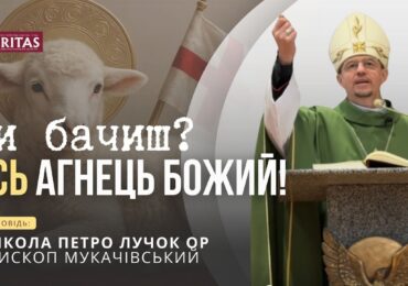 Де наше серце? Де наша увага?