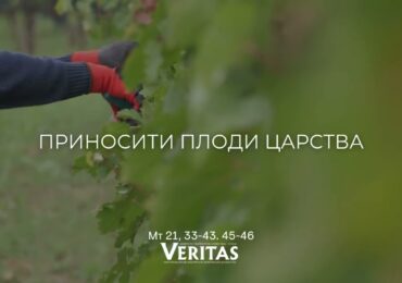 ЄВАНГЕЛІЄ Мт 21, 33-43. 45-46