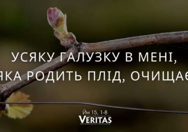ЄВАНГЕЛІЄ Йн 15, 1-8
