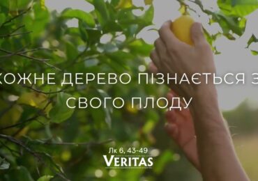 ЄВАНГЕЛІЄ Лк 6, 43-49