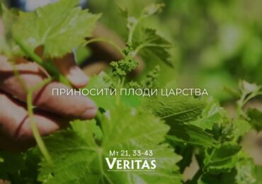 ЄВАНГЕЛІЄ Мт 21, 33-43